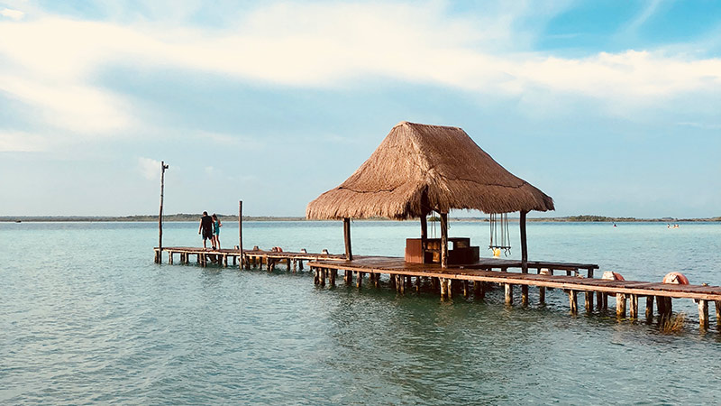 palm_hut