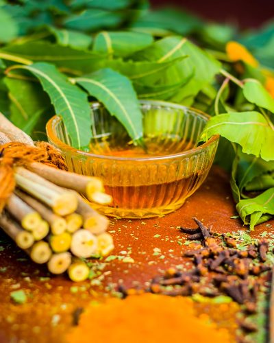 ayurveda_herbs