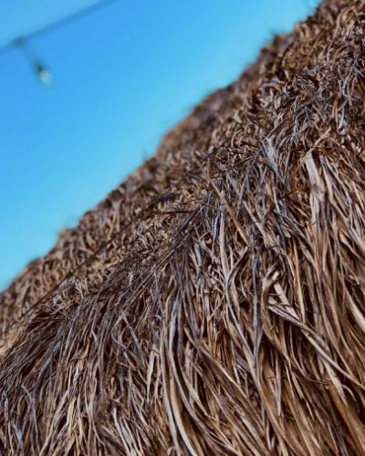 palm_roof palm_roof